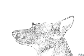 jack russell terrier Pàgines Per Pintar Imprimibles